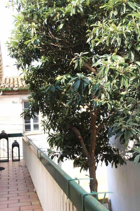 Spacieux Appartement 4 Couchages, Terrasse Privee Narbonne Exterior photo